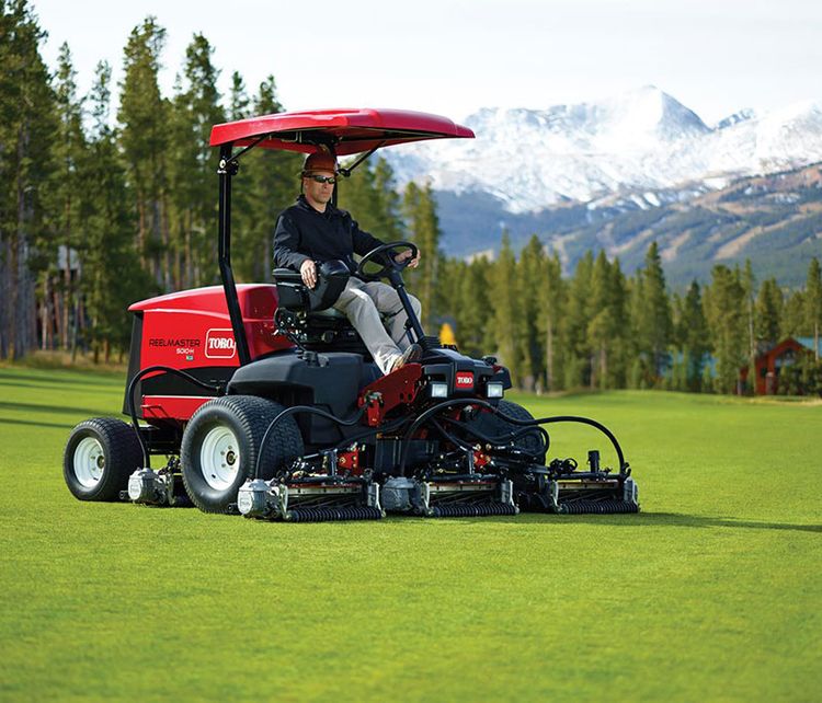 Toro